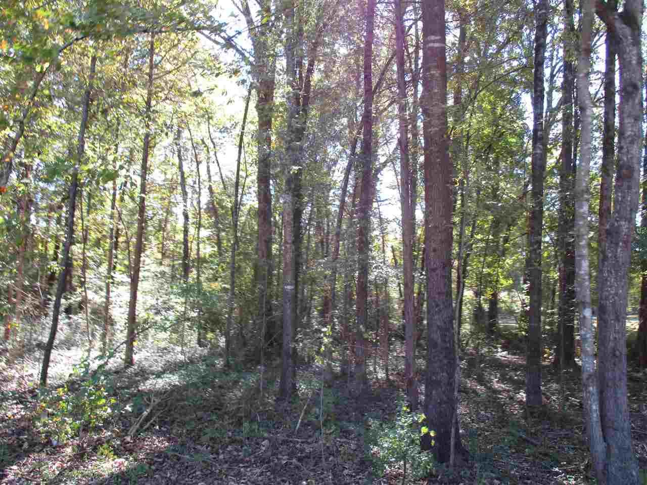 Lot 3 Pa Will, 2221850, Green Level, Unimproved Land,  sold, Let’s Move Realty